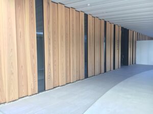 25591883_1644765592250257_8799653495504039391_n